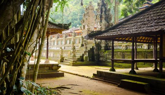 licensed-image (15).jpeg